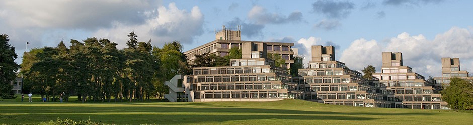 On The Scary Art at UEA Lake. What makes the sculpture trail at… | by  Maddie Exton | Medium