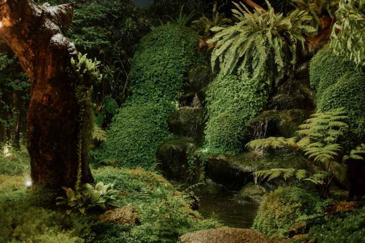 Visions Of Paradise: Michael Armitage At The Royal Academy